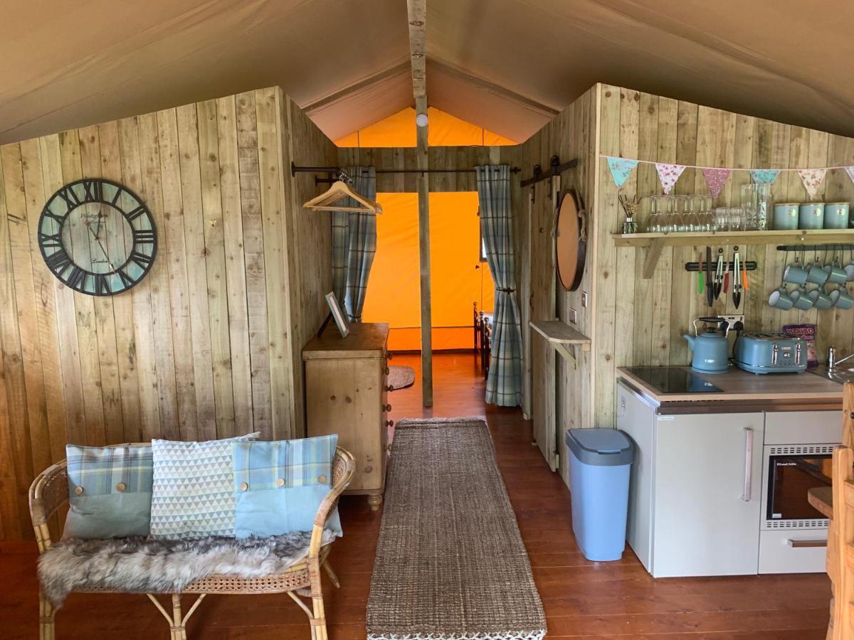 Mountain View Safari Tent With Hot Tub In The Heart Of Snowdonia 돌겔라우 외부 사진