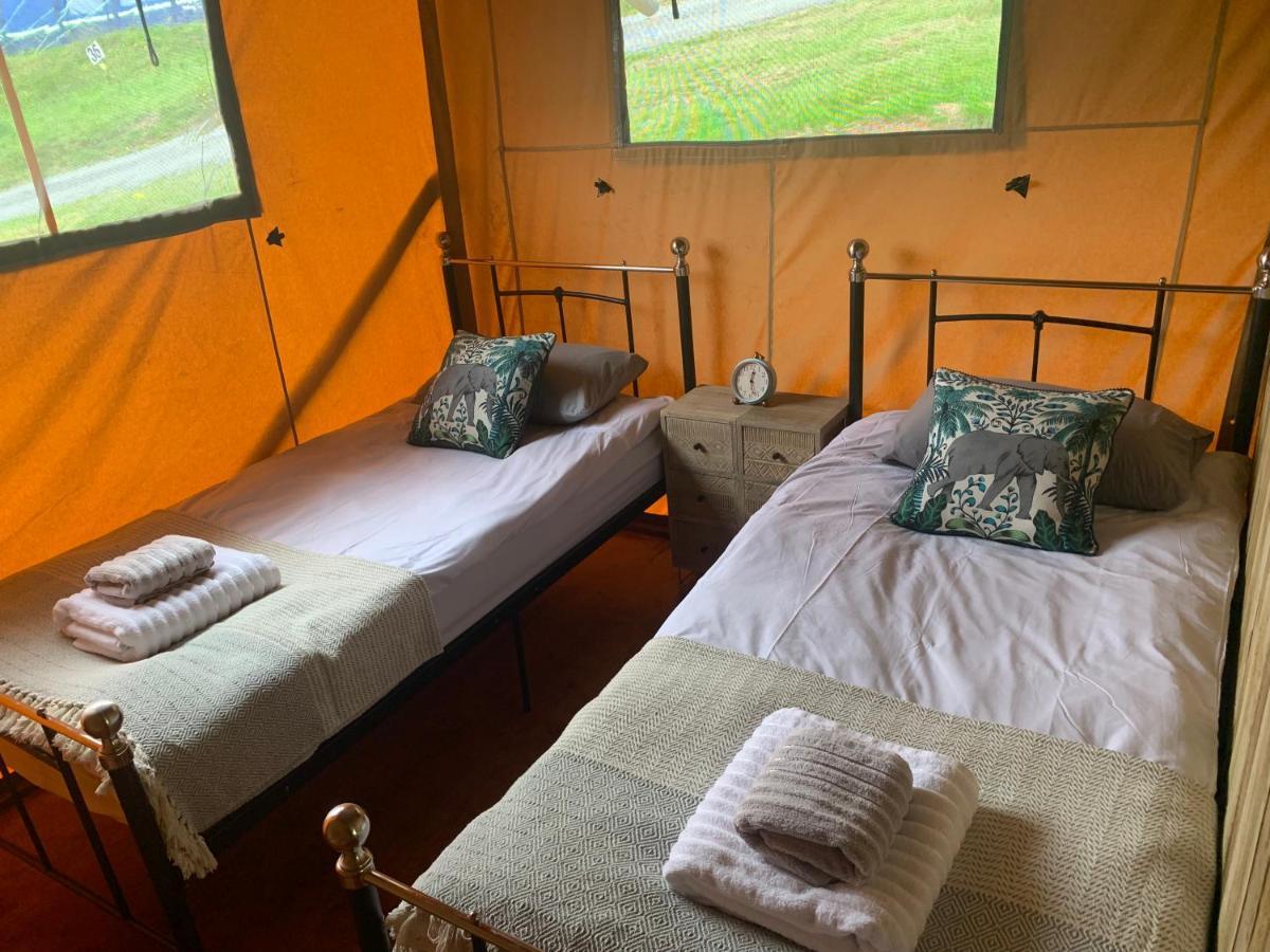 Mountain View Safari Tent With Hot Tub In The Heart Of Snowdonia 돌겔라우 외부 사진