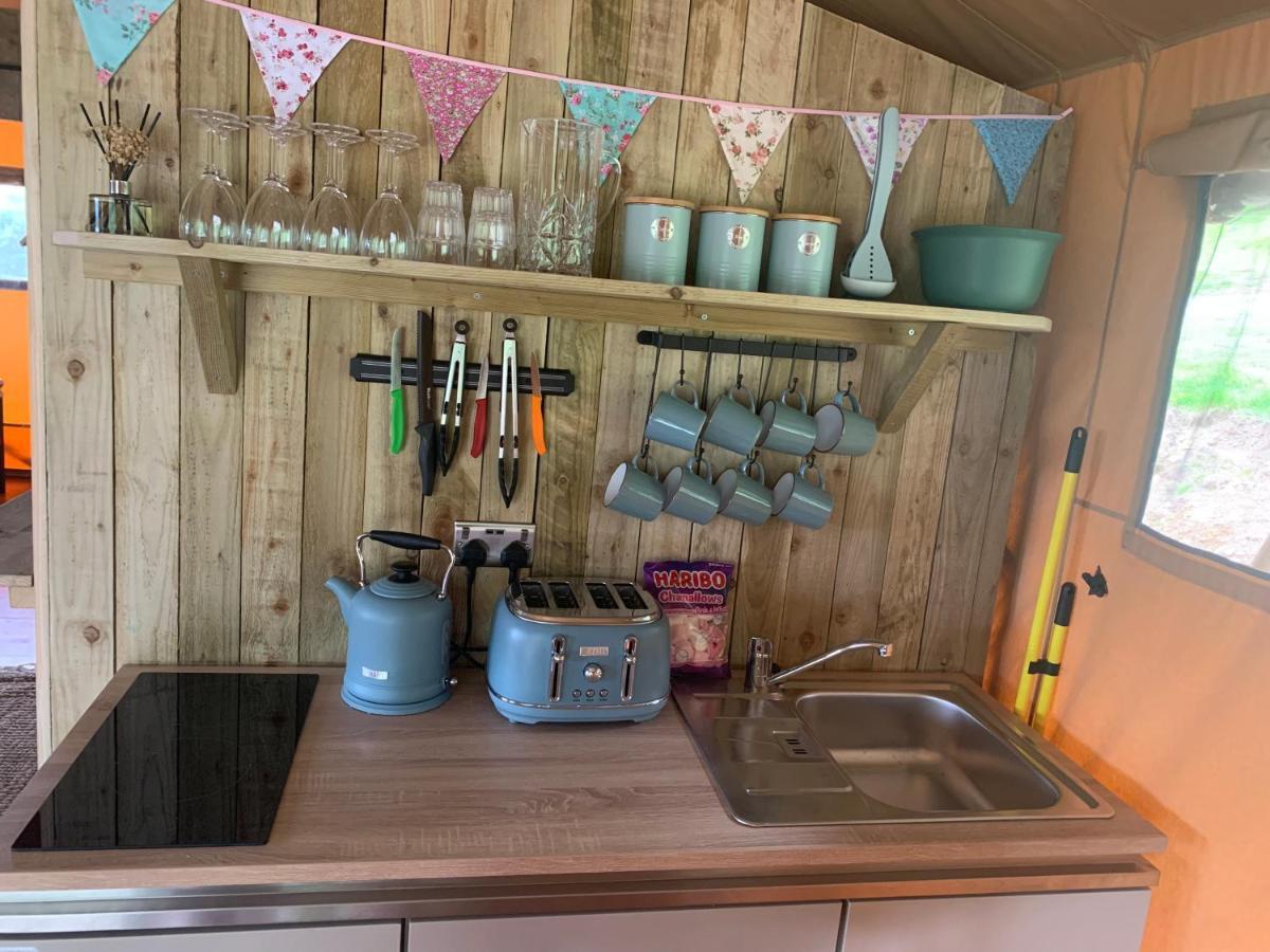 Mountain View Safari Tent With Hot Tub In The Heart Of Snowdonia 돌겔라우 외부 사진