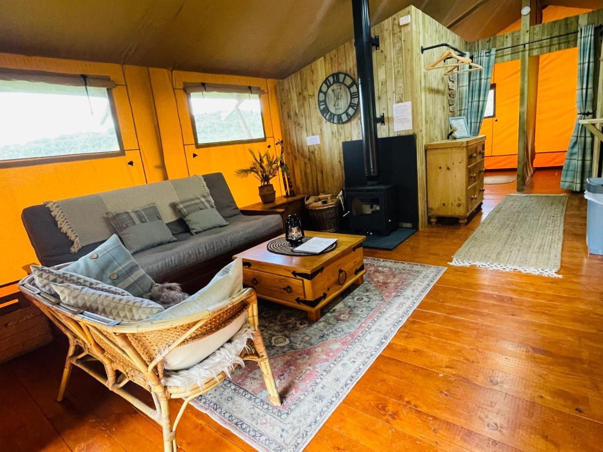 Mountain View Safari Tent With Hot Tub In The Heart Of Snowdonia 돌겔라우 외부 사진